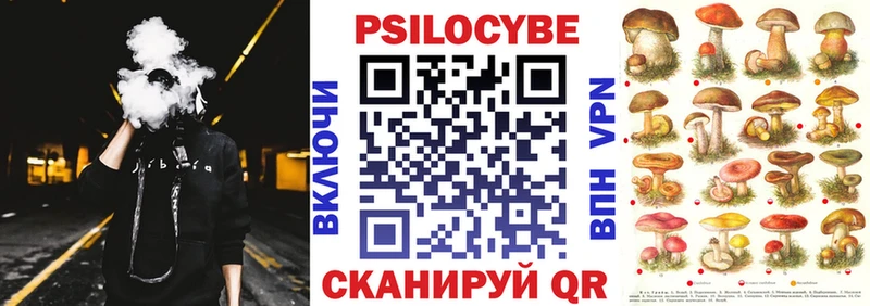 KRAKEN ССЫЛКА  купить наркоту  Черногорск  Галлюциногенные грибы GOLDEN TEACHER 